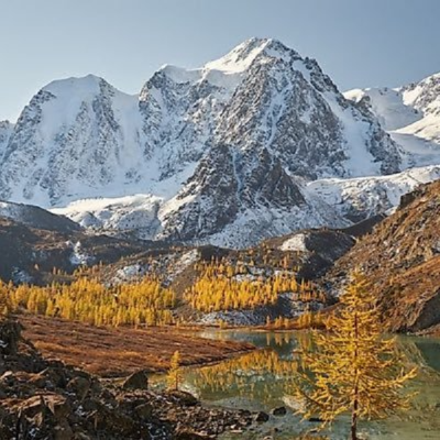 Altay Capital