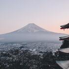 Japan Activism