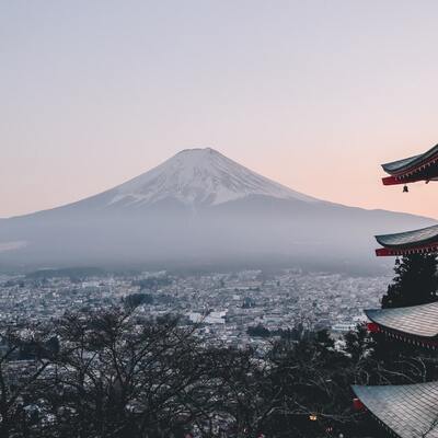 Japan Activism