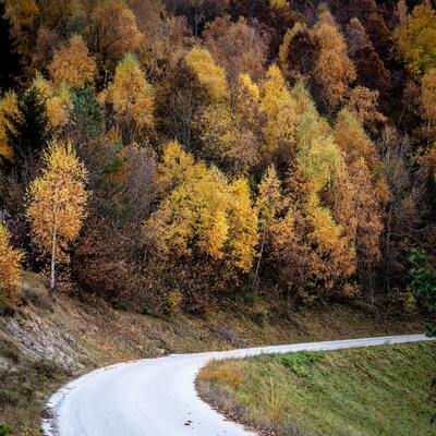 Slovenia