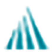 AusGroup